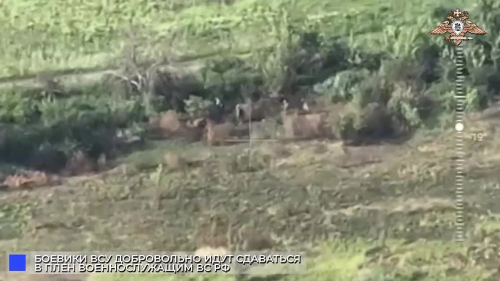 ������� ���������� ����� � ���� �� ���������� ����������� ���� ���������� �������������� 24-�� ������� ���