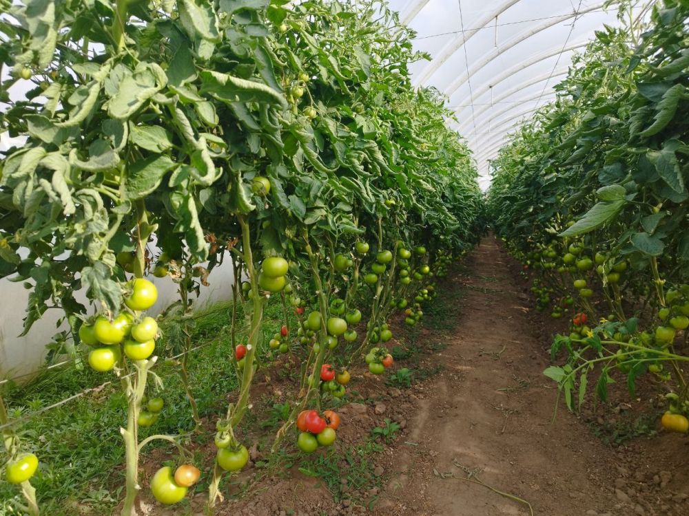 � ������������� ������ ������� ������� ������ ��������� � ���������