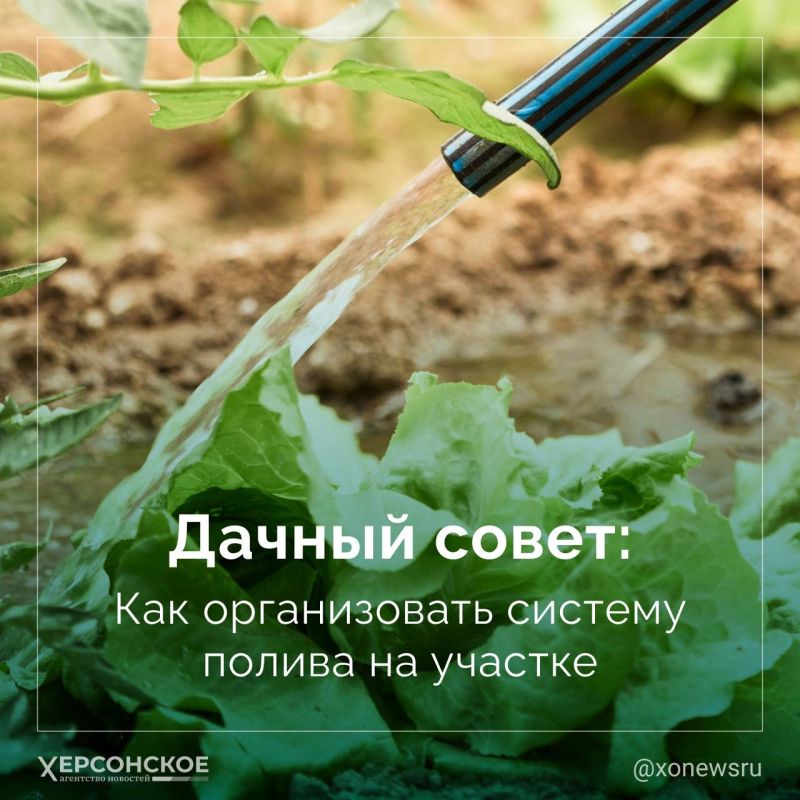 ���� ������ �������� ������� ������ ����� � ������� ������, ���� ���������� �� ����� �������