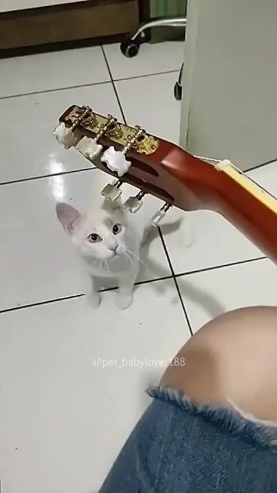 ��������� ����!. ��������-����� ���������� �������