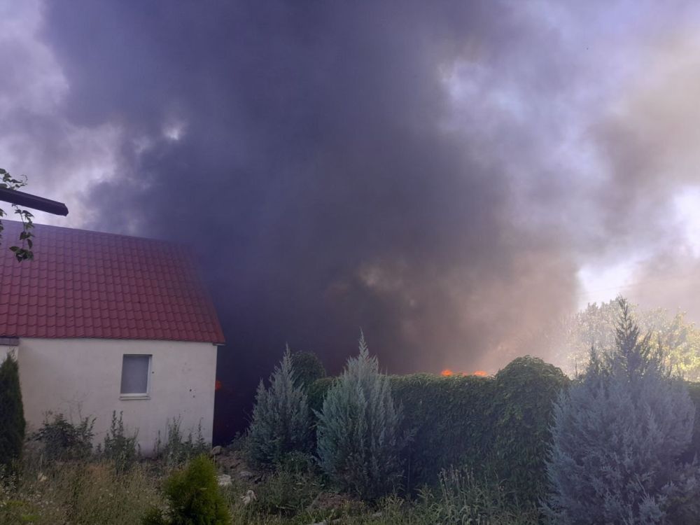 ��� ��������� ����� ���� � ���� � ��������� ������, �������� � ������������� ������