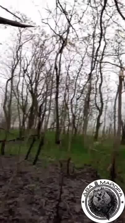 ��� ������: ���������� �����������, �����