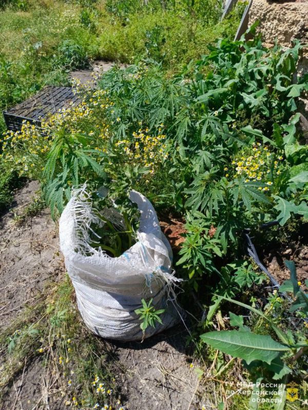 � ���������� ������� ����������� ���������� � ������� �������� ������ 300 ������ �������