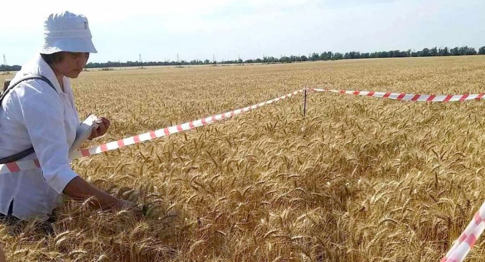 ����������� ���� ������ ������ �������� ����� ������� ��������� �������� ������� � ���������� � ����������� ��������