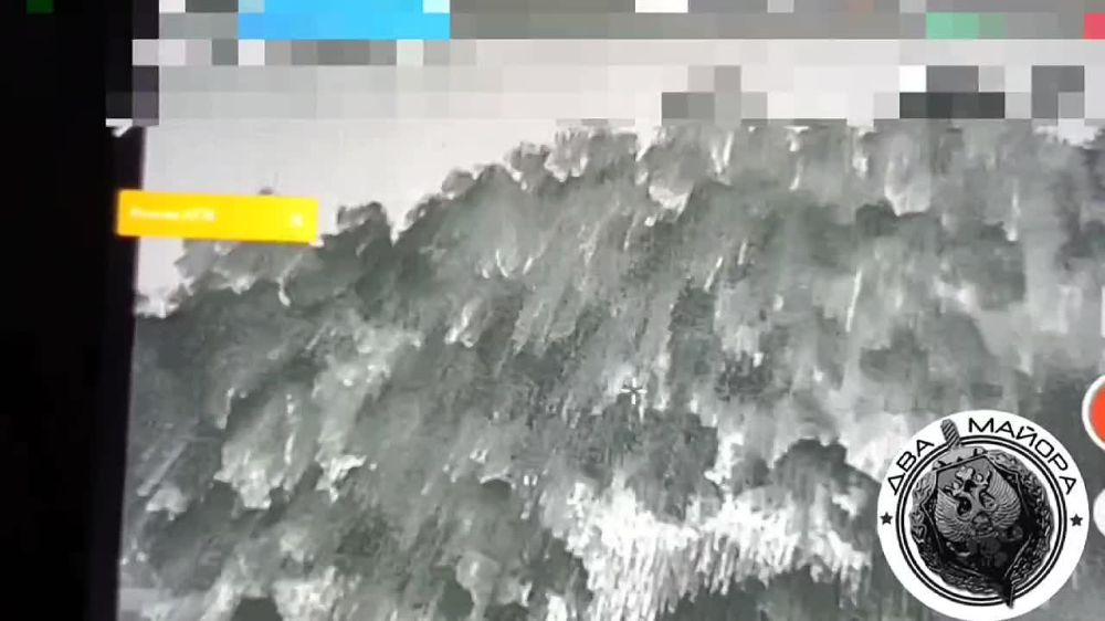 ��� ������: �����. ���������� �����������