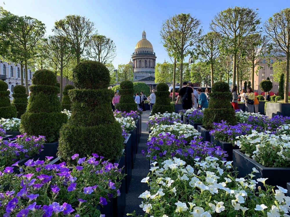 ����� ����������: ���� �� ��������, ������� �� ��������, �������� ���-�����������, ������������� �� ������������ ������� � �����-����������