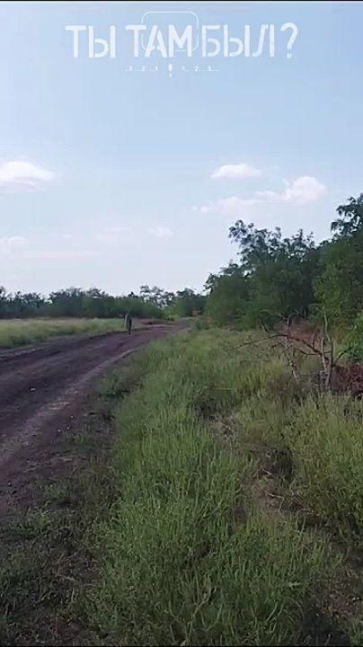 �� ����������� ����������� ��������� ���� ������� ��������� ���� ���������� ����