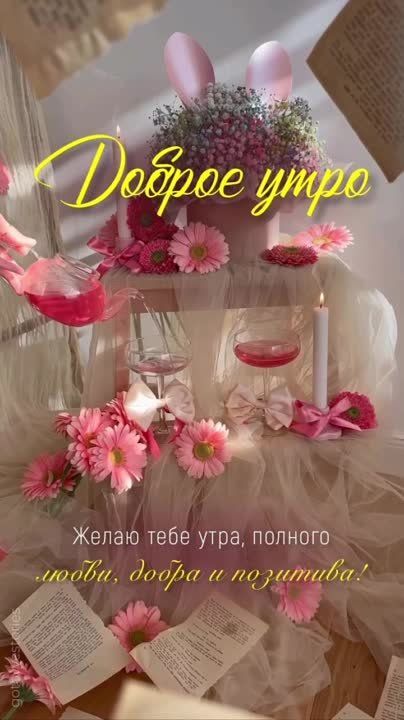 ������ ����. ������� ����� ������ � ������� ����� ����������� �� ���������� ����� ���. ��� �������. ����������� �� +16 ����� �� +28 ���