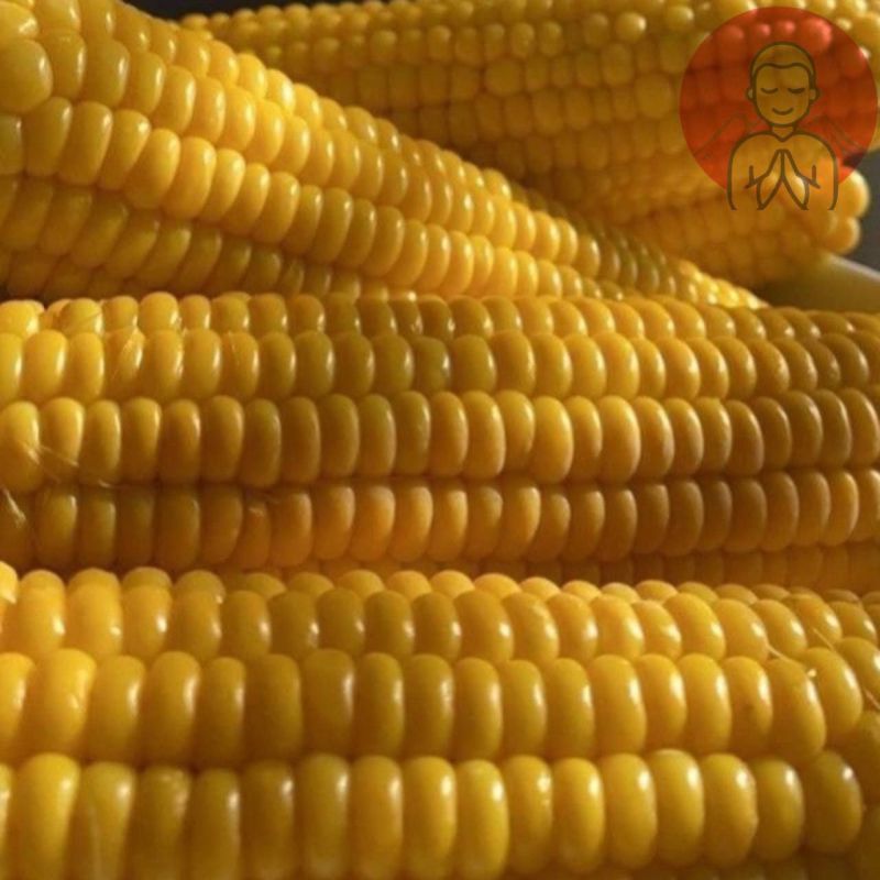 ������ ��������. �������� � ����� �� �� ����������� ���������� �����������, ������������ ������������ �������� ���������� �����. ������� � � �������� ��������� ������������ �����������