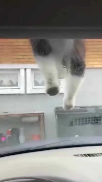 ��������� ����. ��������-����� ���������� �������