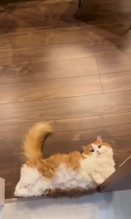 ��� � ������, ��������� �����, � ��� ������� ��������, ��������, ������ � ������