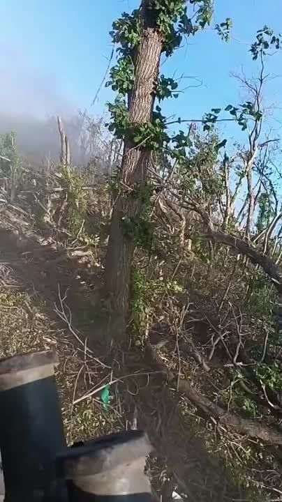 ������� ���-2 � ���� ������������� ���������� ������� �� 30-�� �������������� ����� 2�42