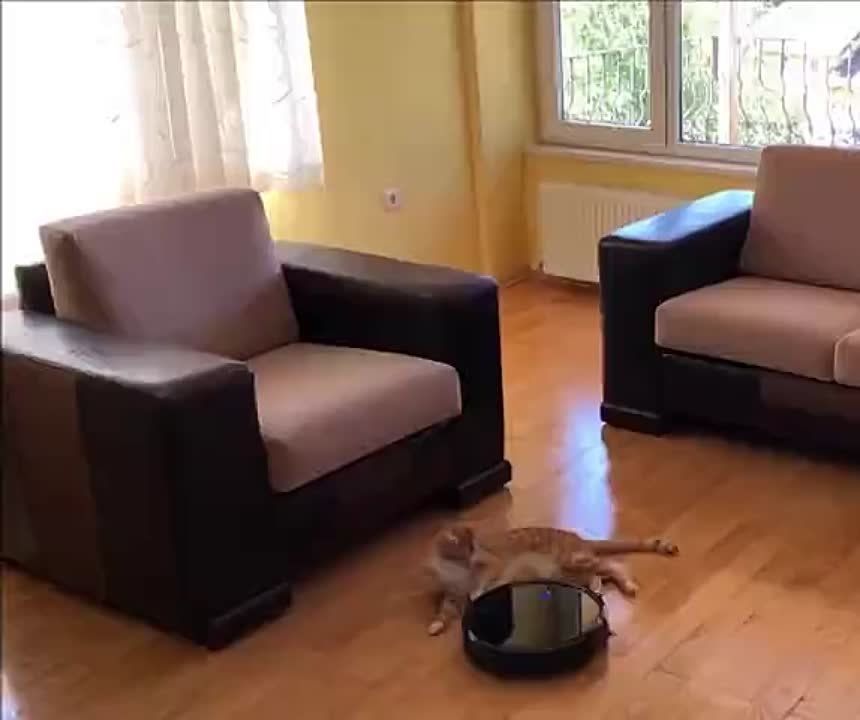 ��, ��� ���������� ������ � ����, ���������� ��� ������