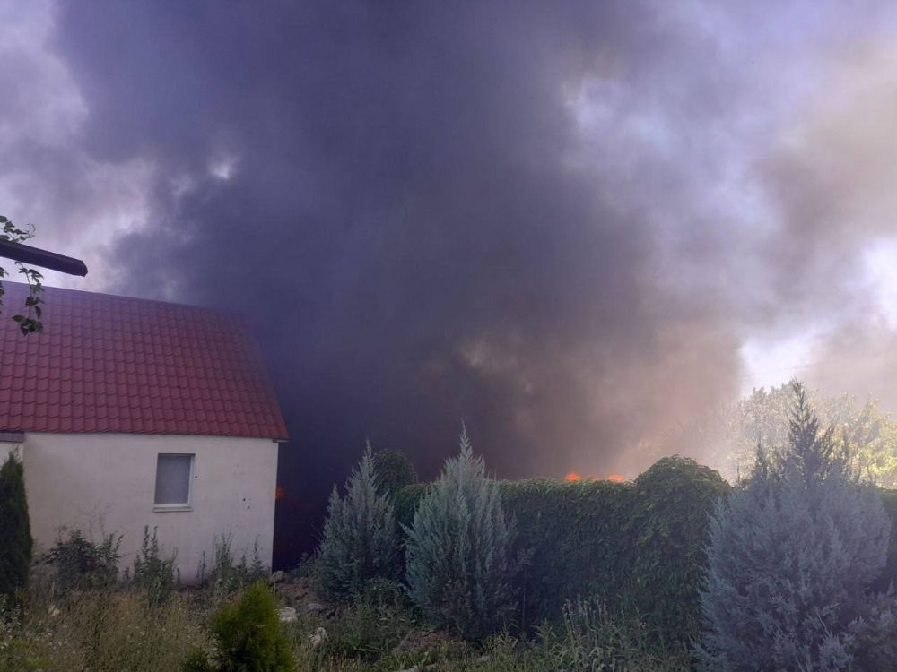 ���������� ������� ������� ���� �� ����� ����� � ���� � ��������� ������, �������� � ������� �������������