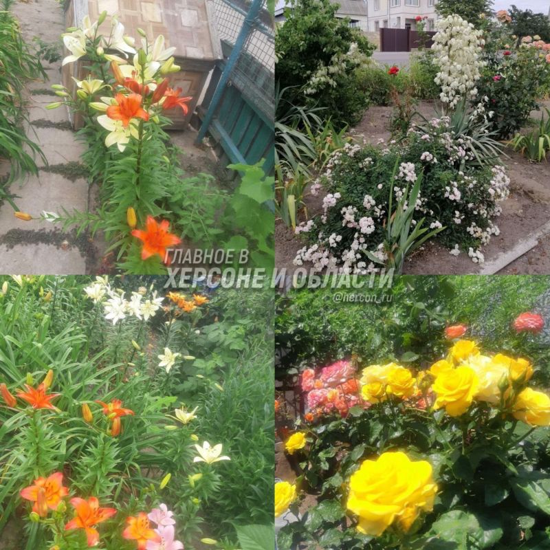 ����������� ������� ������, ���������� ����������� ������ � ���������� ���������� ������� ������ ����