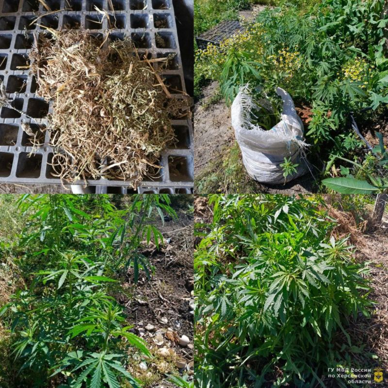 ����������� ��������� ������ ������������ ������, ������� �������� 300 ������ �������