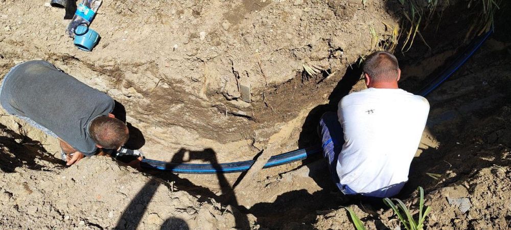 � ������ ���������� ���������� ��������� ������������ ������� �������������