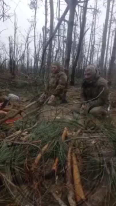 ��� ������: ���������� �����������, ��� �����: