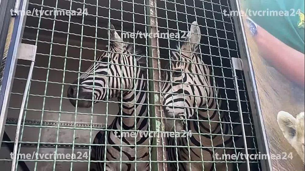 �� ����������� ��������-���� � ����������� ������-���� �������� ���� �������