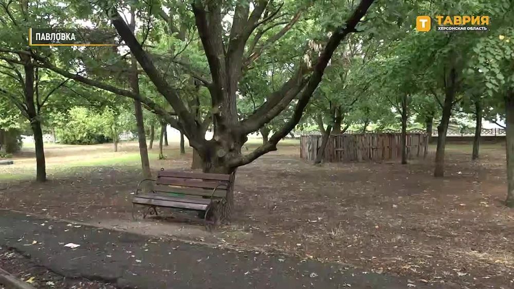 � ���������� ������� ���� ����������, ���������� �����, ���������� ����� �������� � ������� ������� �������