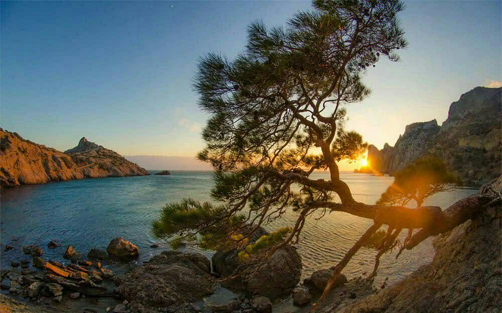 ����������� ������� ������������� ����� � ����� �����