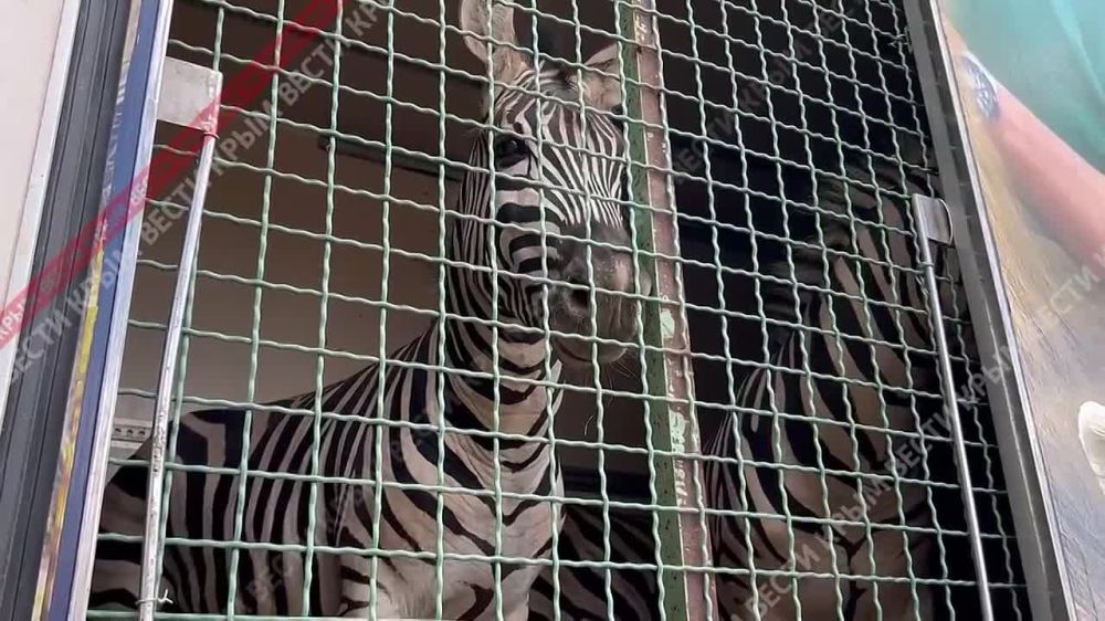 1234��������� �����: � ���� �� ���������� ������� �������� 7 ���� �������