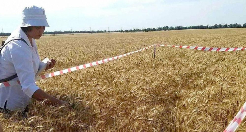 ������ �� ����� ���������� ������� ������� ������ �������� �� ��������