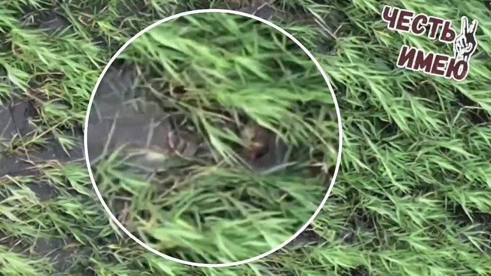 �������� ����������� ��������� �� �������� ���� ����� � ���������� �������