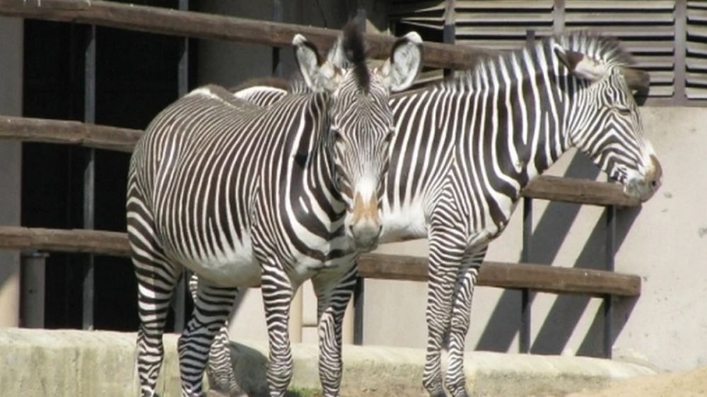 �� ���������� ������� � ���� �������� ��� ���� ���� �������