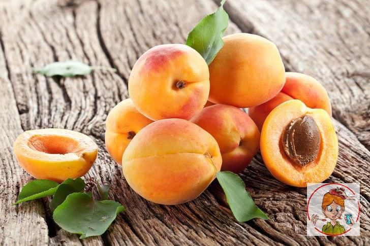 ������ ��������� ��� ��������