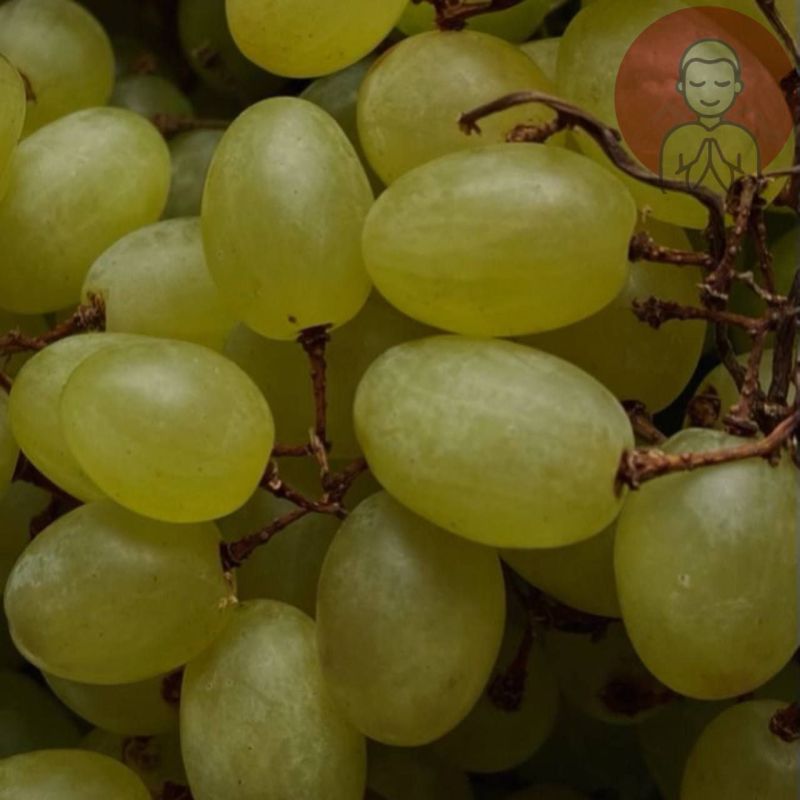 ������ ���������. ������������� ��������� ������������ �������� ������ �������������� ������� � ���������, ������� ���������� �������� ��������� ����������� ������� � ��������-���������� ������