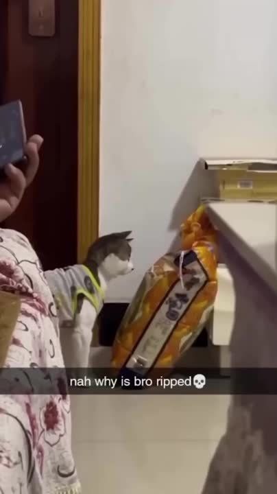 ��������� ����! ��������-����� ���������� �������