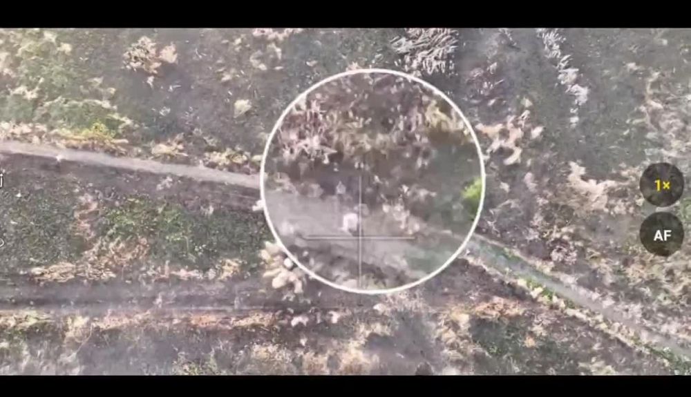 �����. �����. ����������. ����