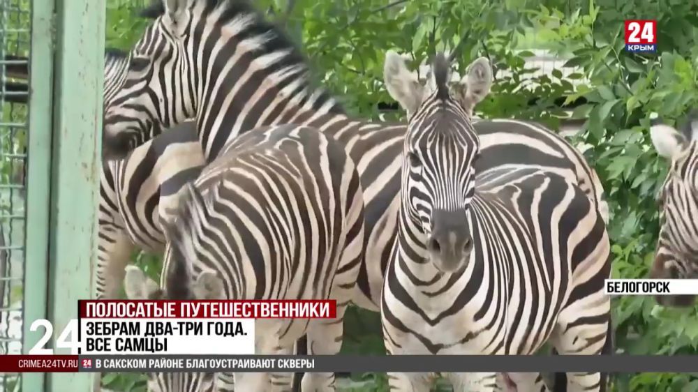 ���� ���� ��������� � ���� �� ���������� �������