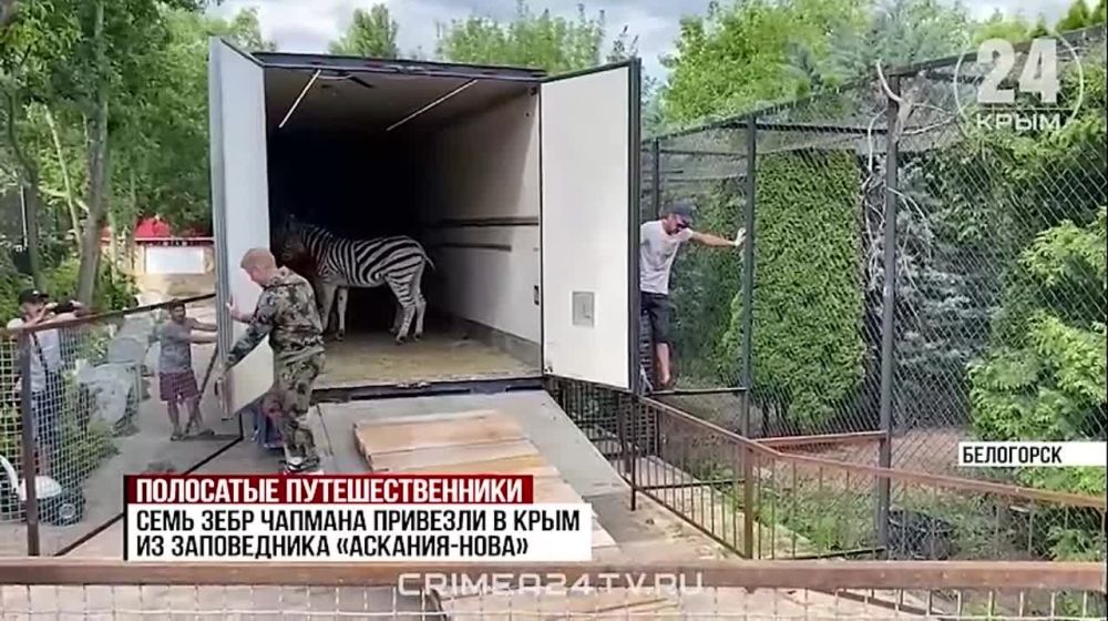 ���� ���� ��������� � ���� �� ���������� �������