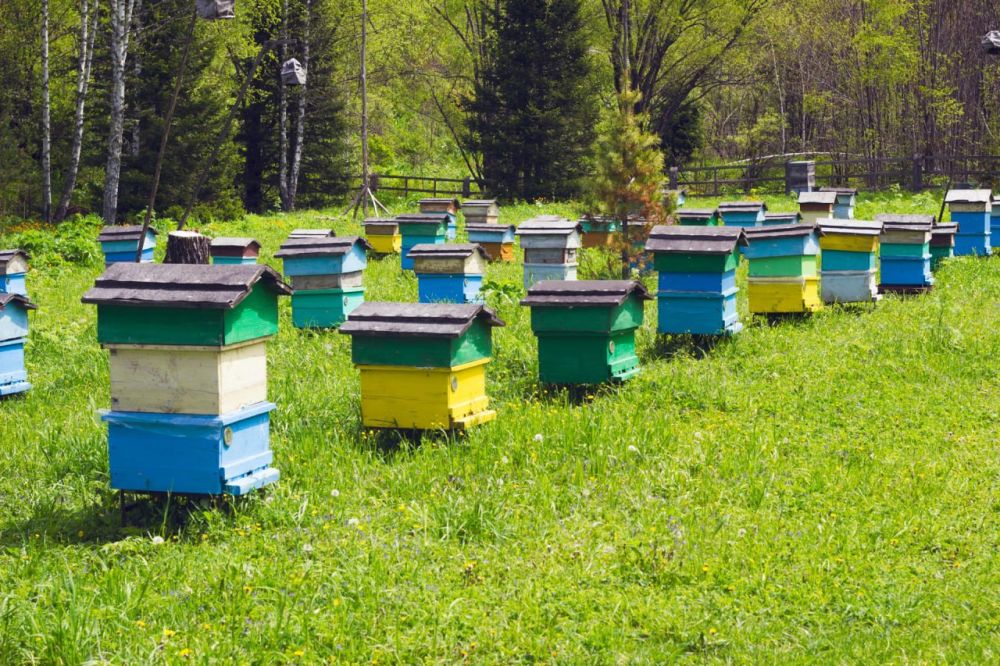 ������������ �������������� ����� � ����������� ���������� �����