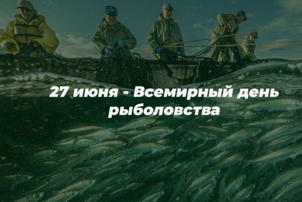 27 ���� � ��������� ���� �����������