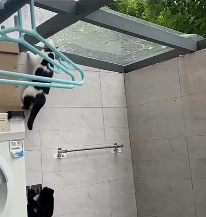 ���� ������� ������ � �������� ����, ���������� ������������ �������� ���������