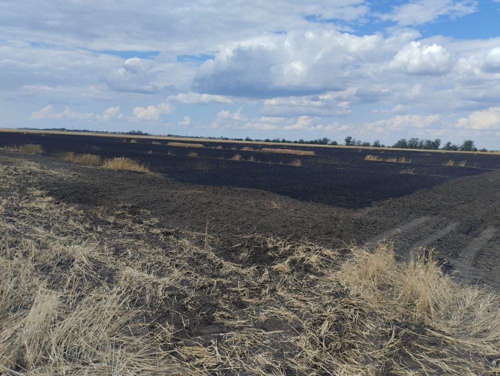 ��� ������� 3 ����� �� ���������� ������, ������� �������� ������