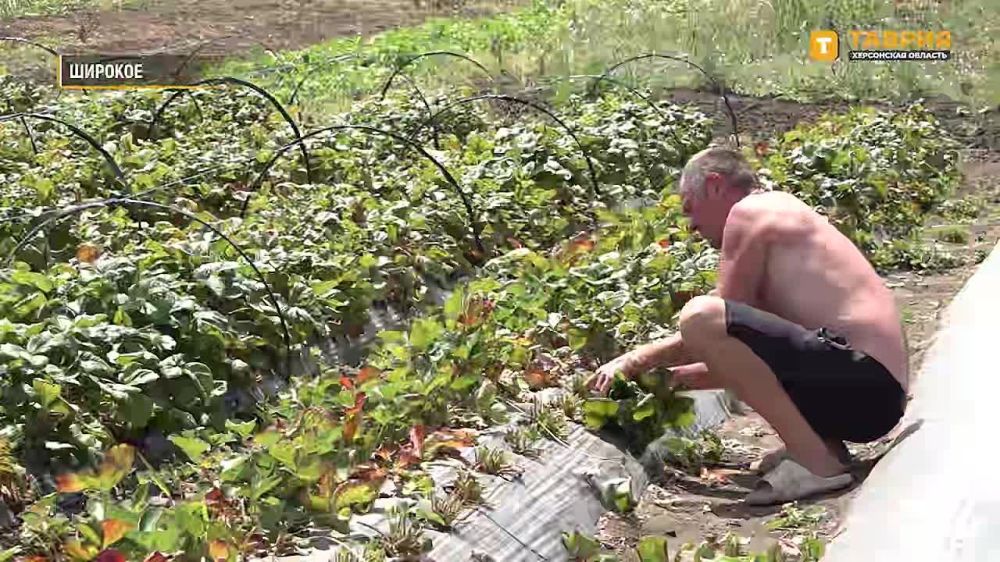 "��� ������� ����� �����������": ����������� ���� ����������, ��� ���������� ����� ����� ����������� ������� � ������