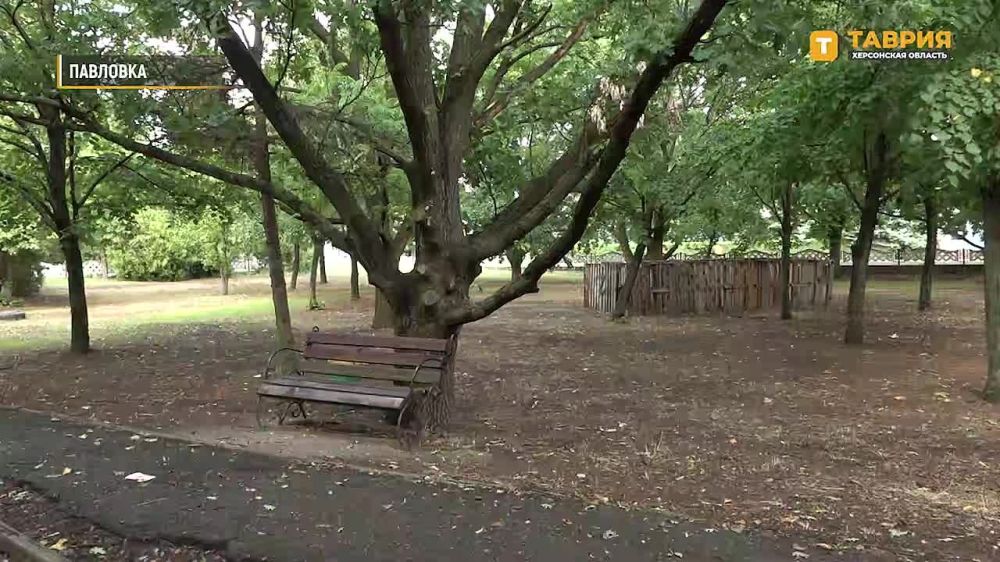 ���������� �����: ������ ����� ���������� ������� ��� �������