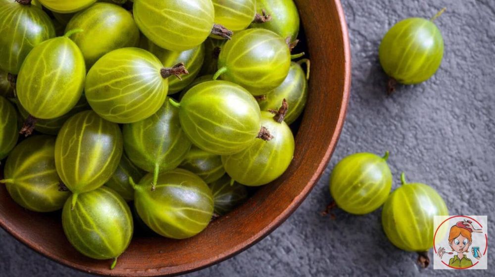 ��� ������� ��������� �����