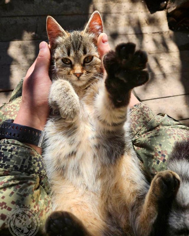 ������ - ���� ��. ���� �� ���������, ���� �� �����