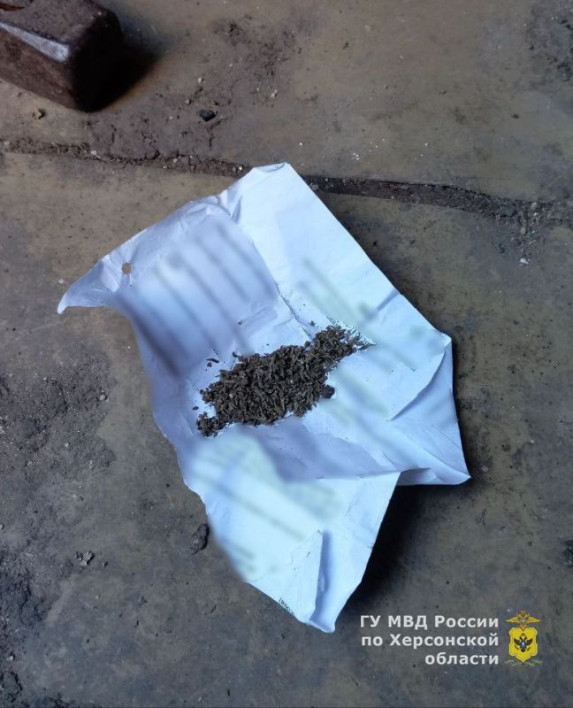 ������ ����������� ������ ������������� � ���������� �������� ����������