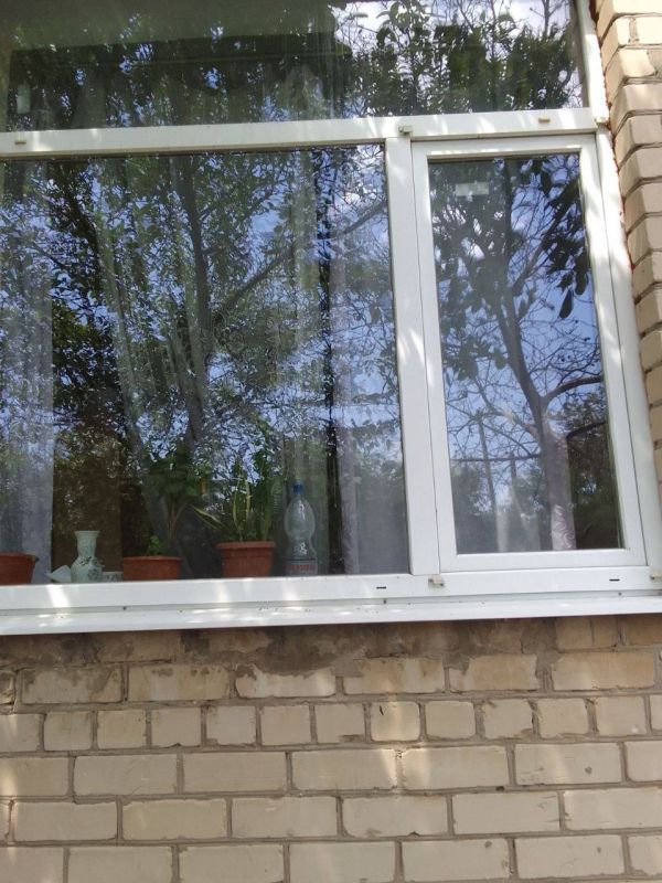 � ����������� ����� ���� �������������� ����������� ������ ���������� ������ ����