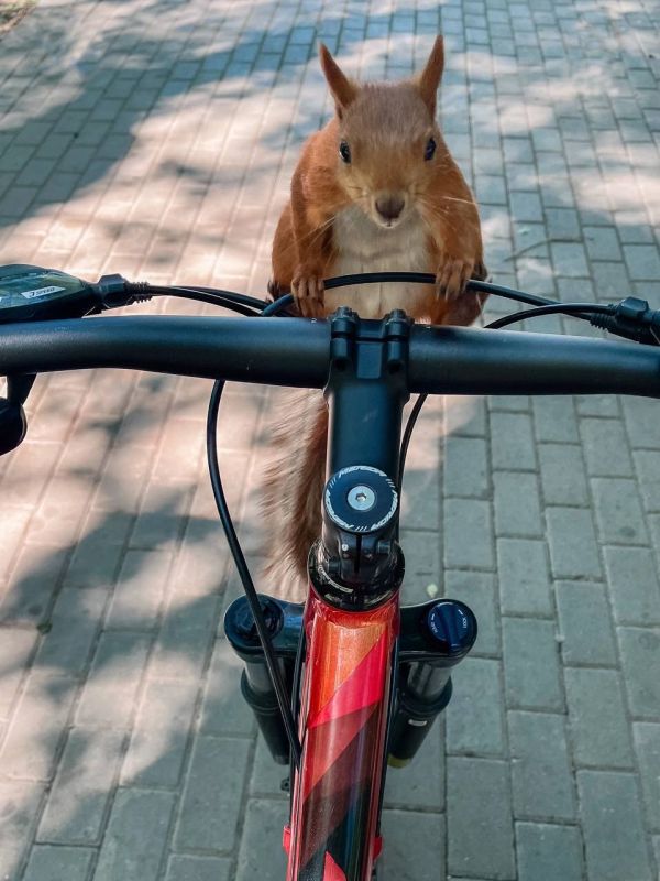 ������ ��������, ���� ��� ��� �� "��������", �� ����� ��������