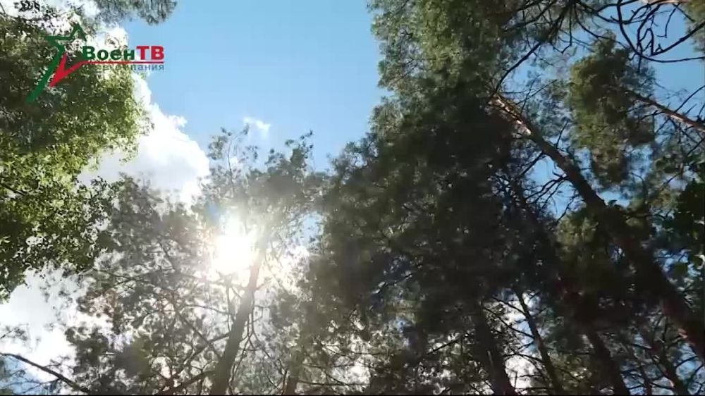 ���������� ��������: � ����� �� ������� ����������� ������ ���������� � �������� �������� ���� �������� ����� � ����������� ����� � ������ �������������