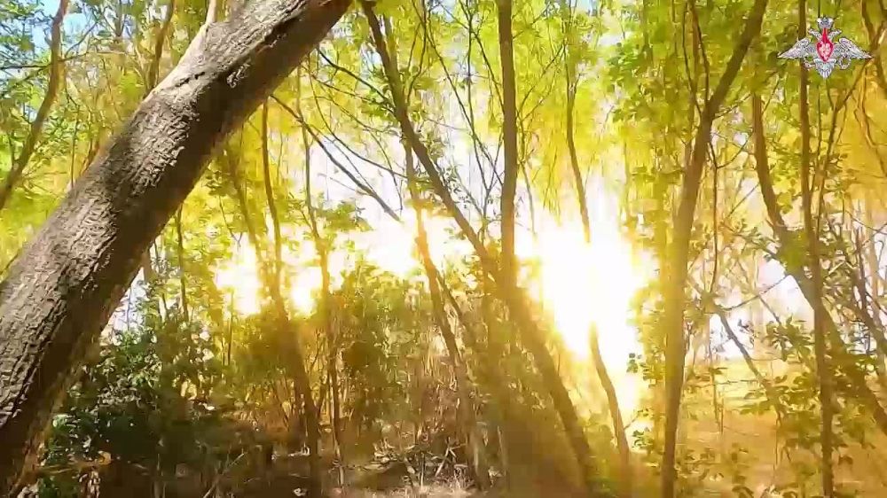 ���������� ��������� �������������� ������� ��� �������� ����� ���������� ���������� �� ������ ������ ������