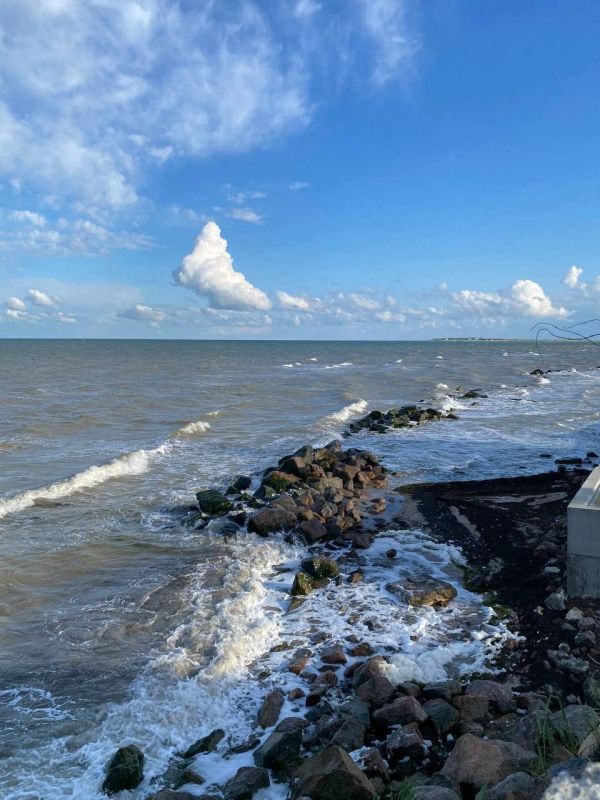 �� ��������� ������������ ����������� �� ������ ���� ������ ���������� �������