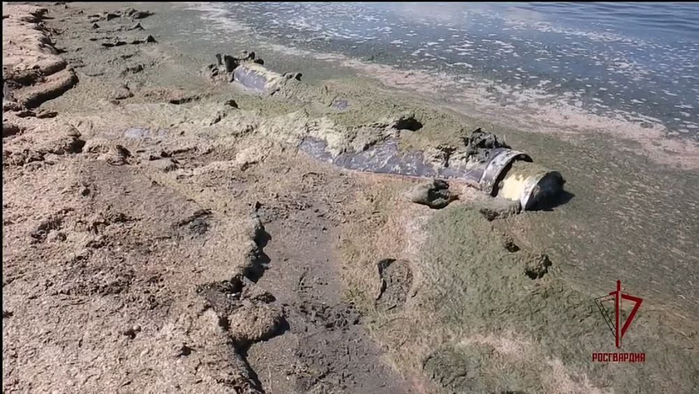 ��������� �������: ���������� �������� ���������� ������ ����� ������������ �������� � ���������� ������� �����-��������� "������-2", ������� �����-������ ��������� �� ������ (��� �����-�� ������ �������) ������ �� ������ ���������� ��� ���������� ����